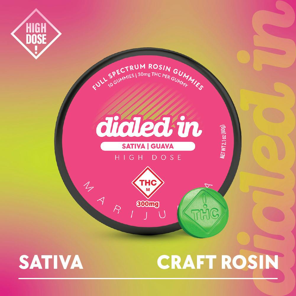 Rosin Gummies - Guava (S) (100mg)