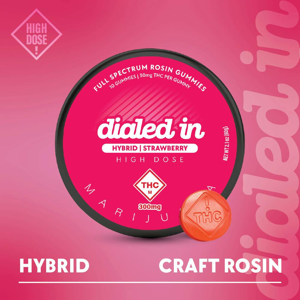 Dialed In Gummies - Rosin Gummies - Strawberry (H) (300mg)