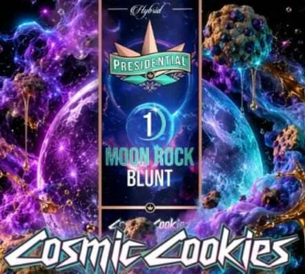 Presidential - Cosmic Cookies Preroll - Infused Preroll