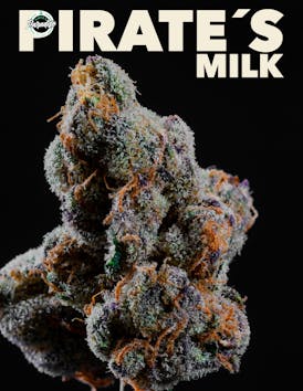 Pirate's Milk - Platinum
