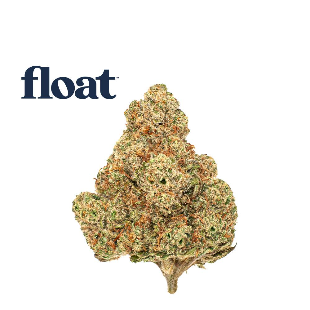 Golden Lemon 4 - Flower