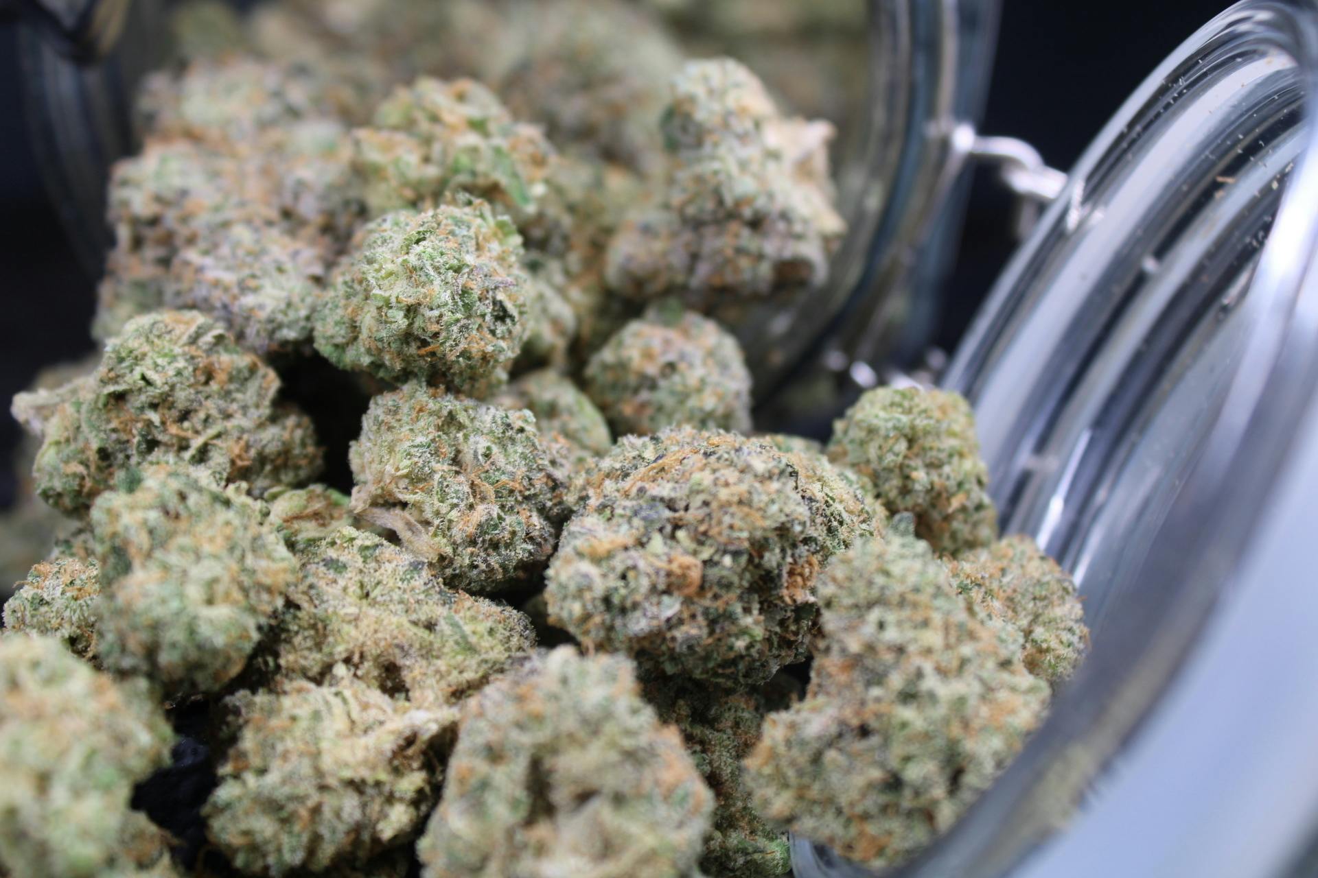 Jive Cannabis Co. | Sunshine Lime (Sativa) - 3.5g