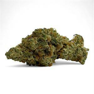 Jive - Goombay - 3.5g