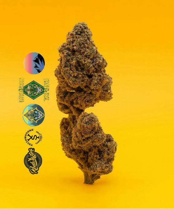 AM Lime at Yellowstone Cannabis Care - A Dakota Green Cultivators Dispensary