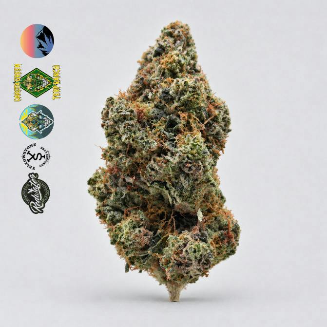 Truffaloha - Bulk