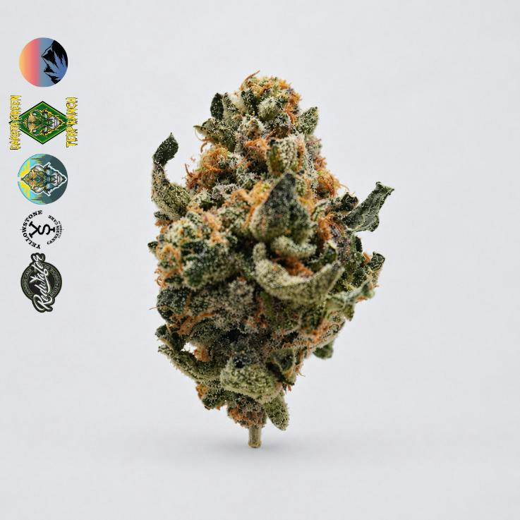 Cap Junky - Bulk
