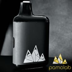 2g - Live Resin - Disposable Vape