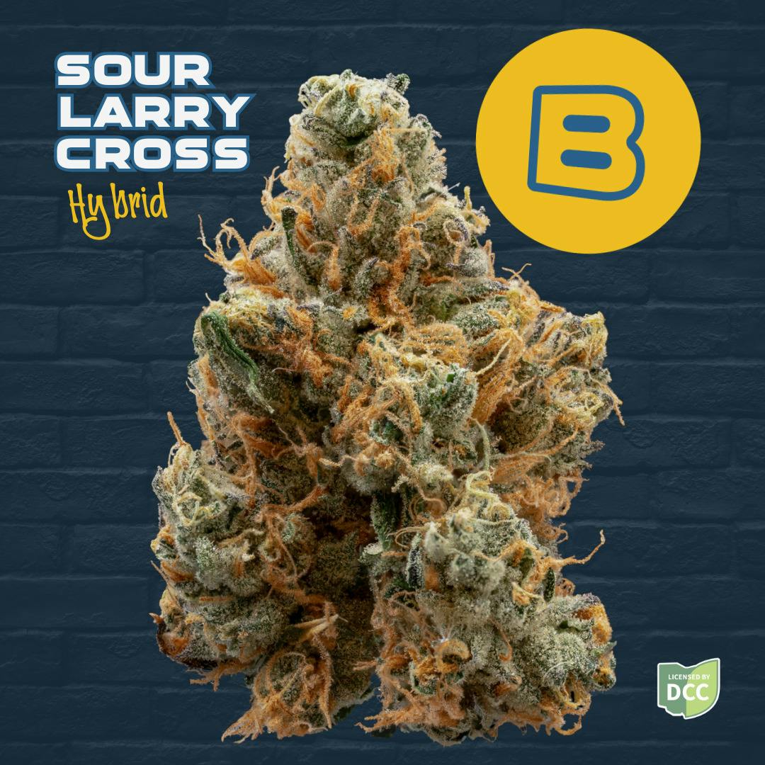 Buckeye Relief - Flower - Sour Larry Cross (H)