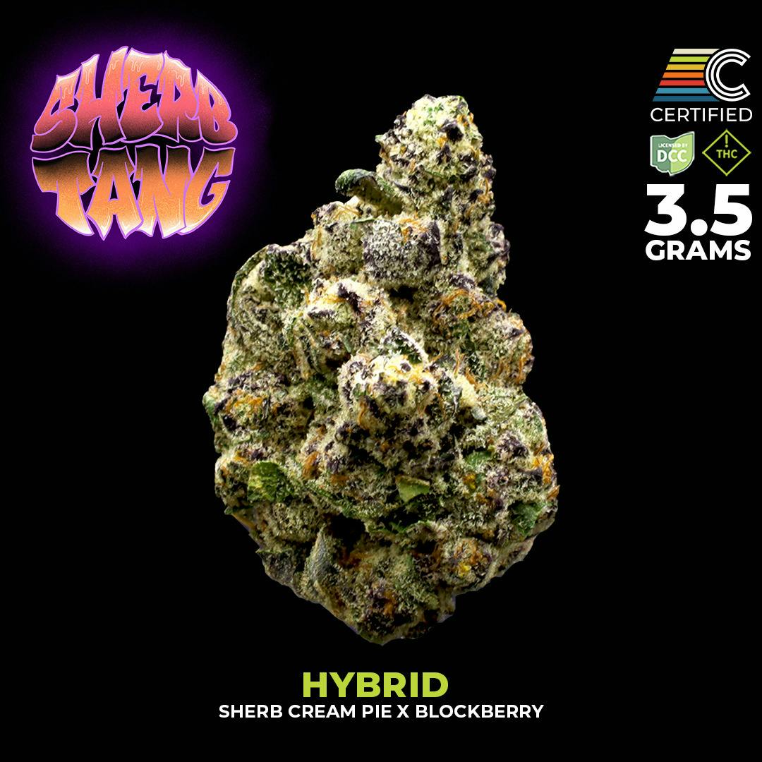 Certified - Flower - Sherbtang #1 (H)