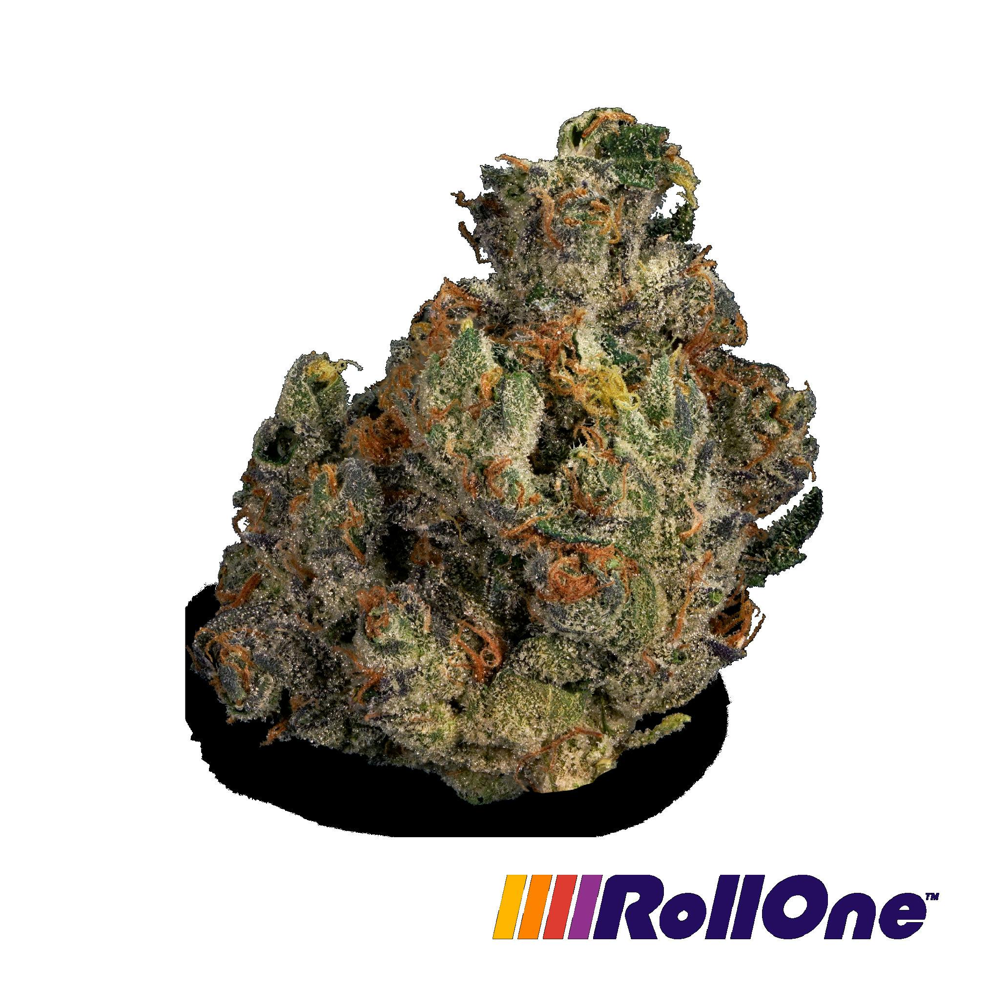 Ice Man Flower at Trulieve Maricopa Dispensary