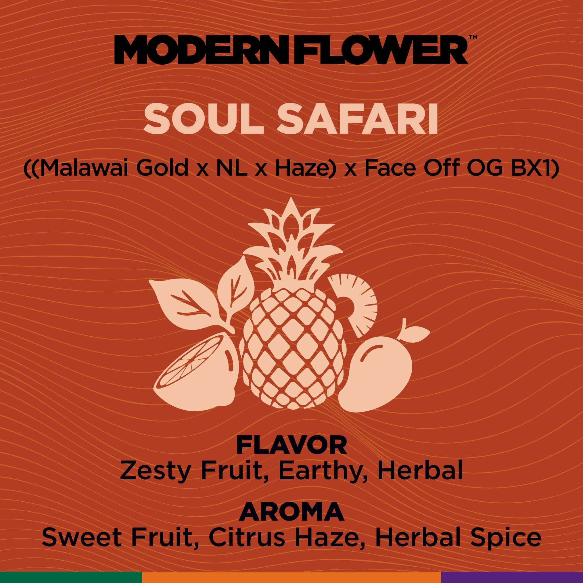 Soul Safari LLR Axil All In One