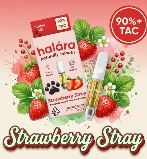 Strawberry Stray Cartridge - 1 g