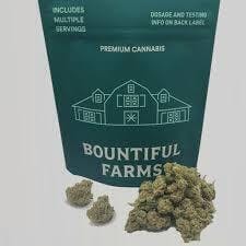 Half Ounce | Garlic Breath | 14g