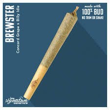 Brewster Pre Roll | 0.5g at Botera Brockton - Recreational Cannabis Dispensary