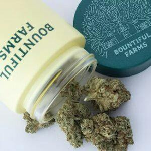 Burberriez | 3.5g