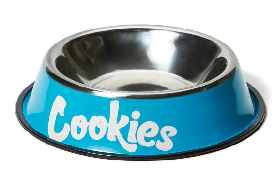 Dog Bowl