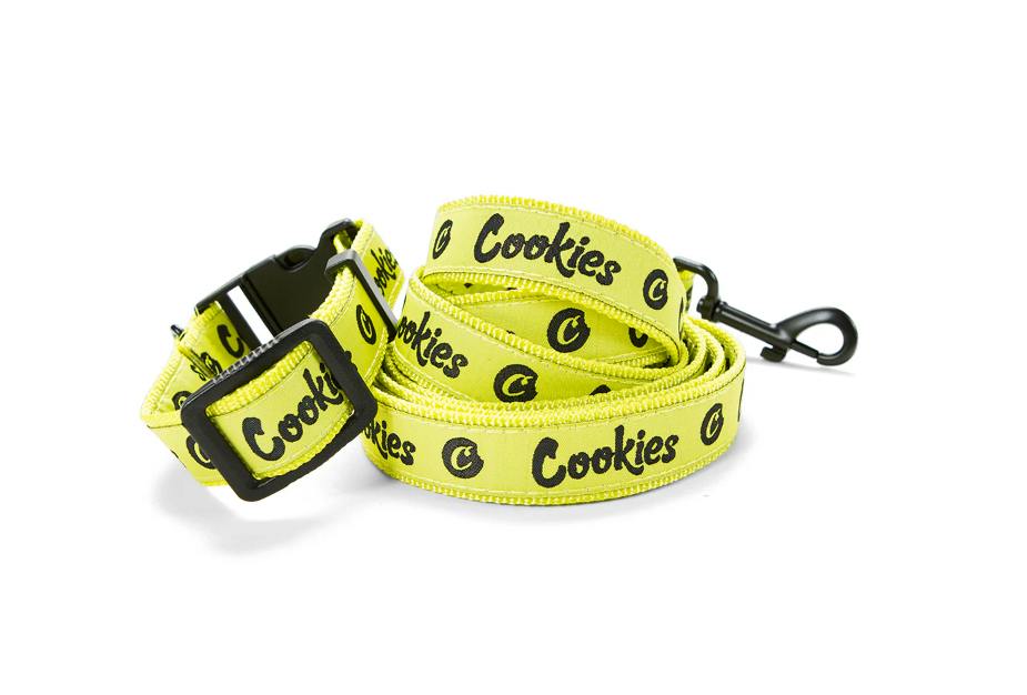 LEASH AND COLLAR - VOLT YELLOW