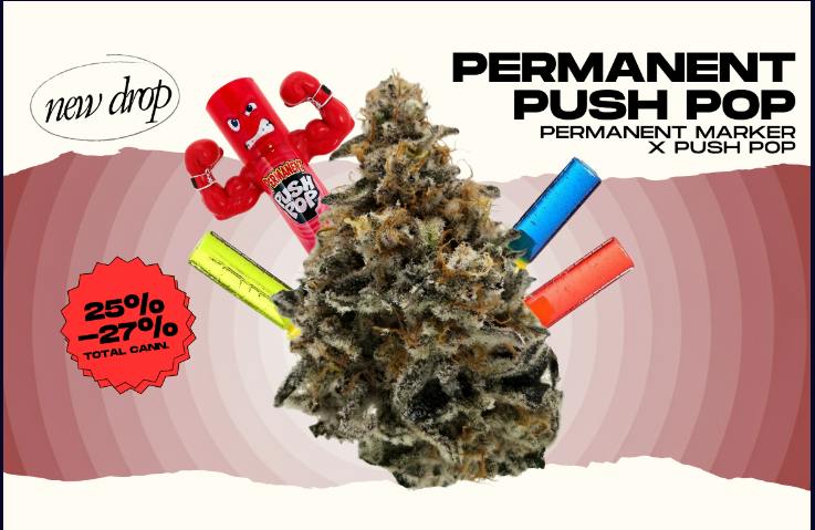 LEGACY - PERMANENT PUSH POP - 7G