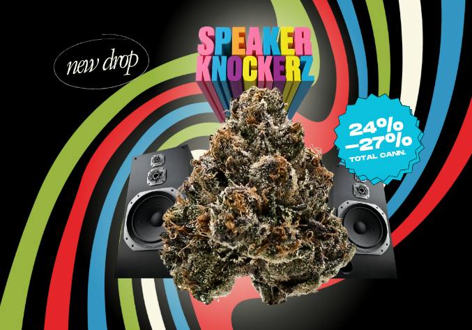 STONER VILLAGE - SPEAKER KNOCKERZ -3.5G