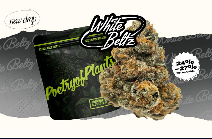LEGACY - WHITE BELTZ - 1G