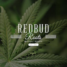REDBUD ROOTS - GLITTER BOMB - BULK FLOWER