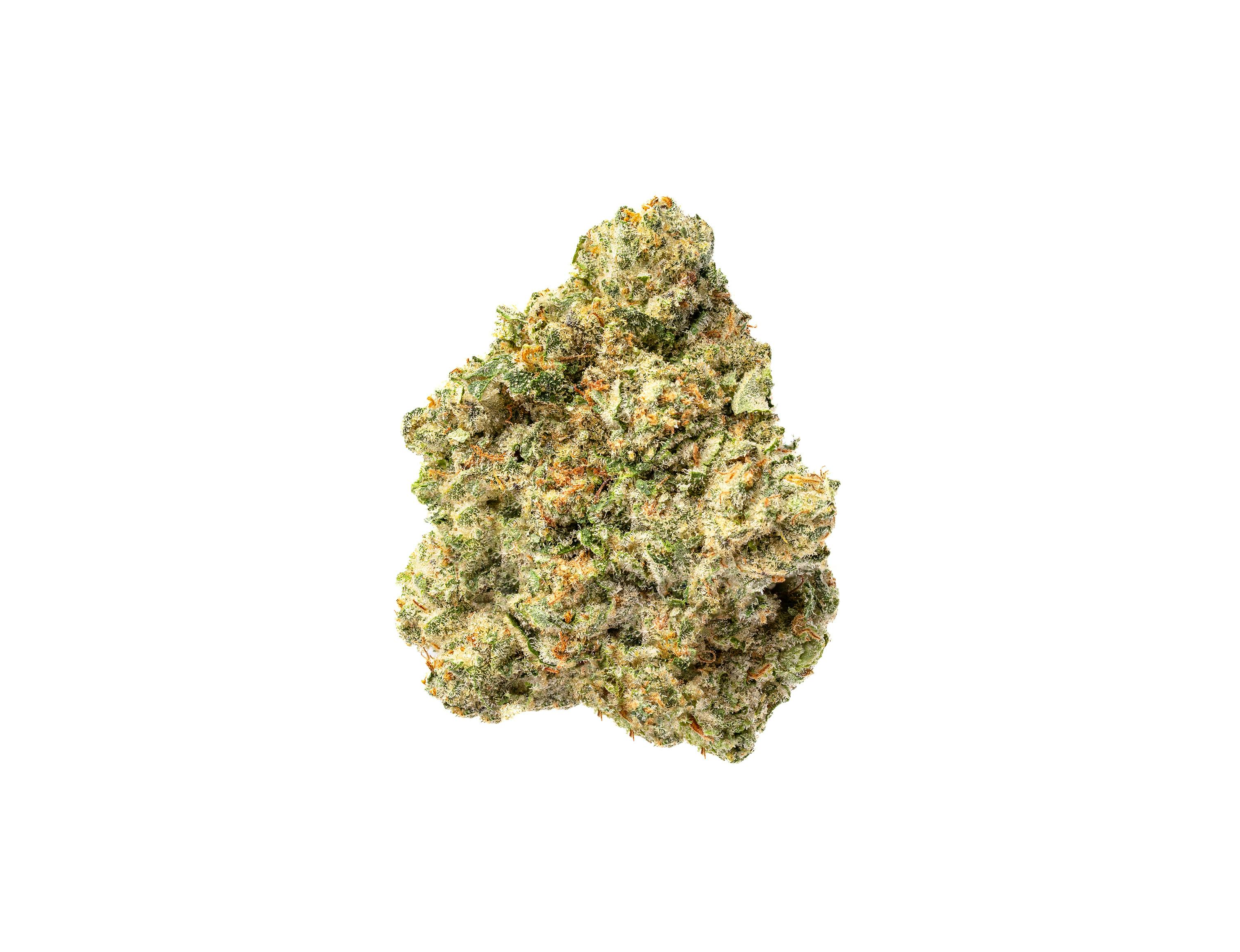 Jet Fuel - Fresh - H