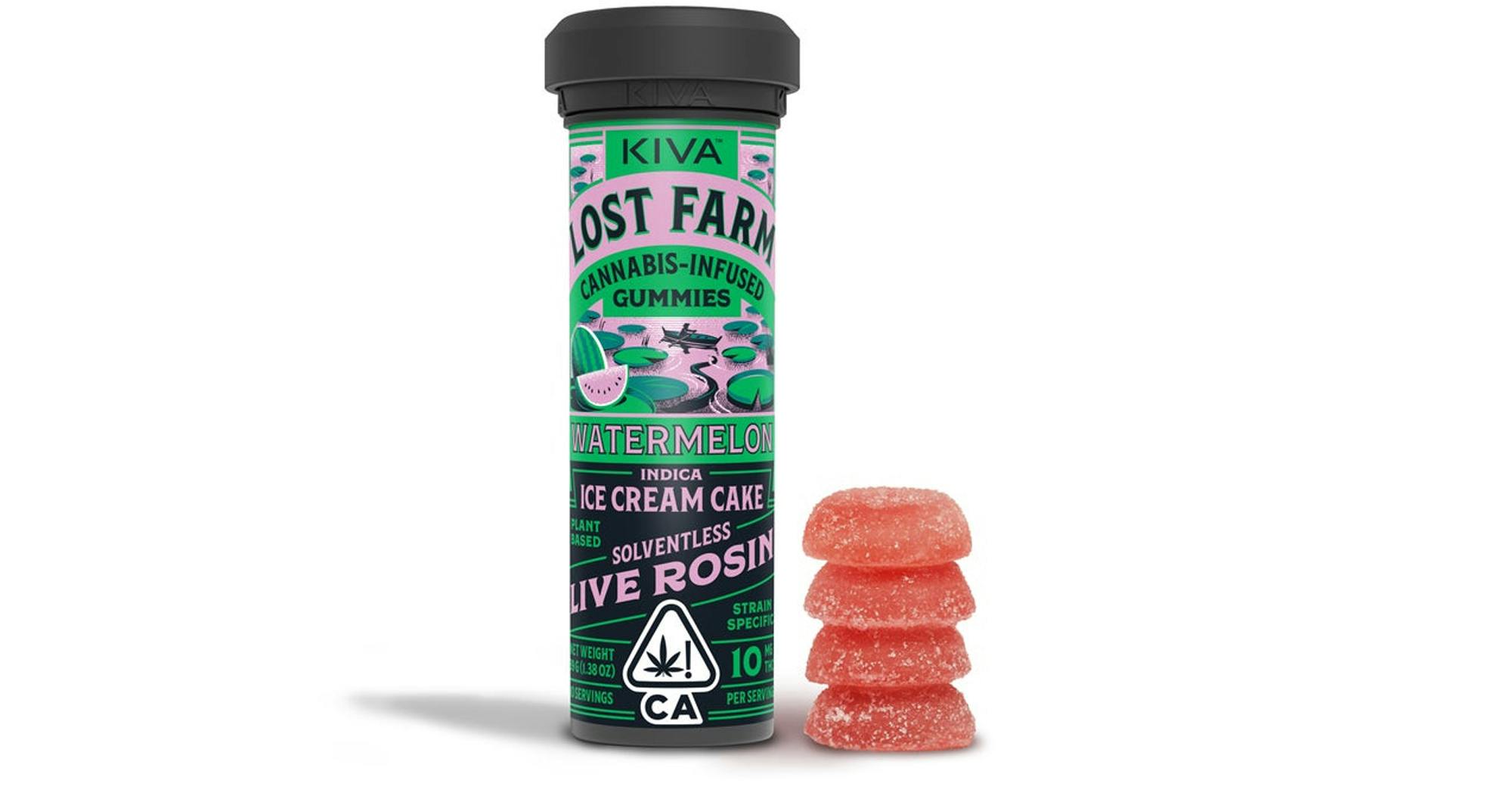 Lost Farm - — Watermelon Ice Cream Cake