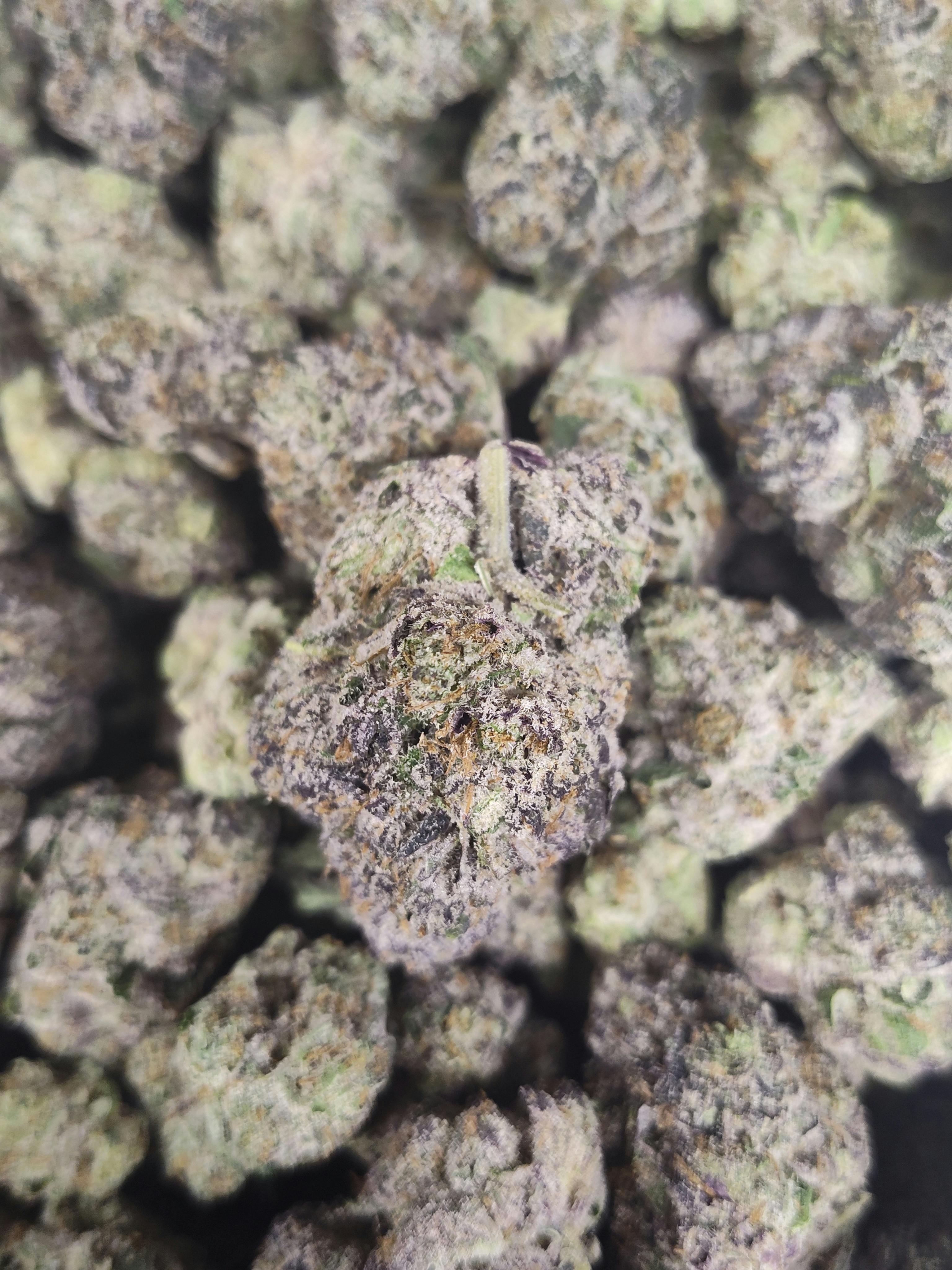 The Horn - Bulk Flower cannabis product