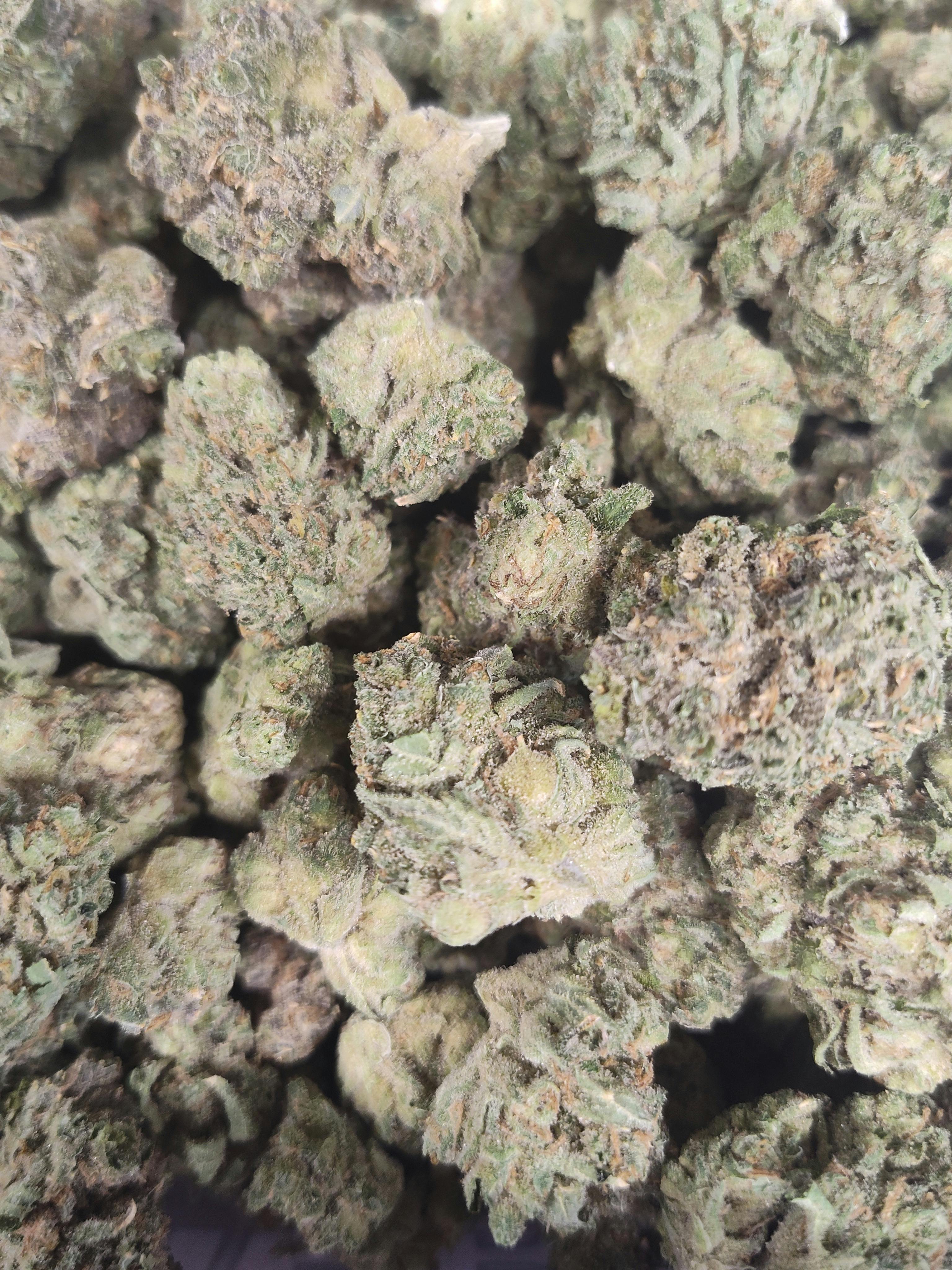 Grown Rogue - Jack Herer - Bulk Flower