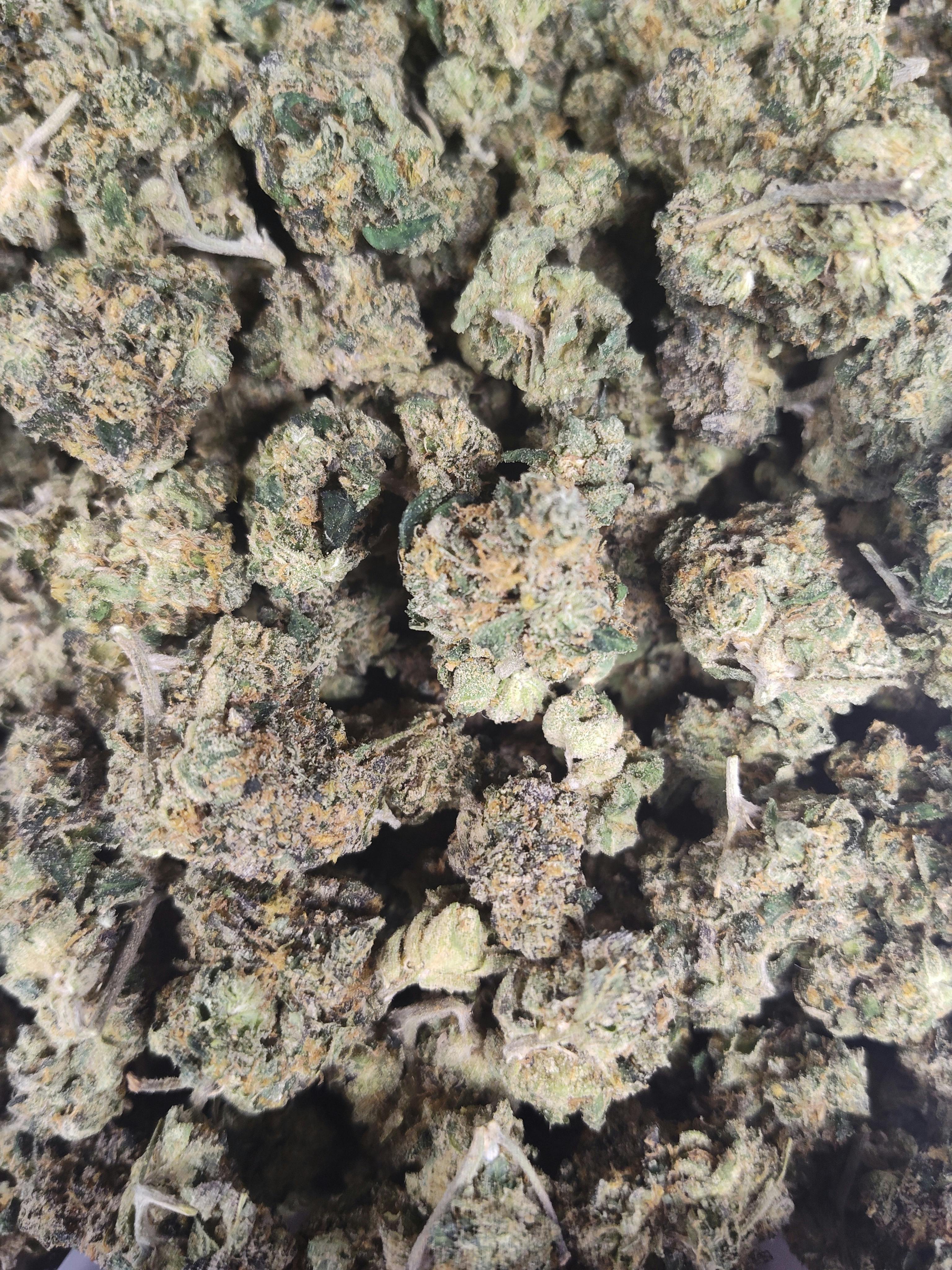 Backpack Boyz - White Himalaya - Bulk Flower cannabis product