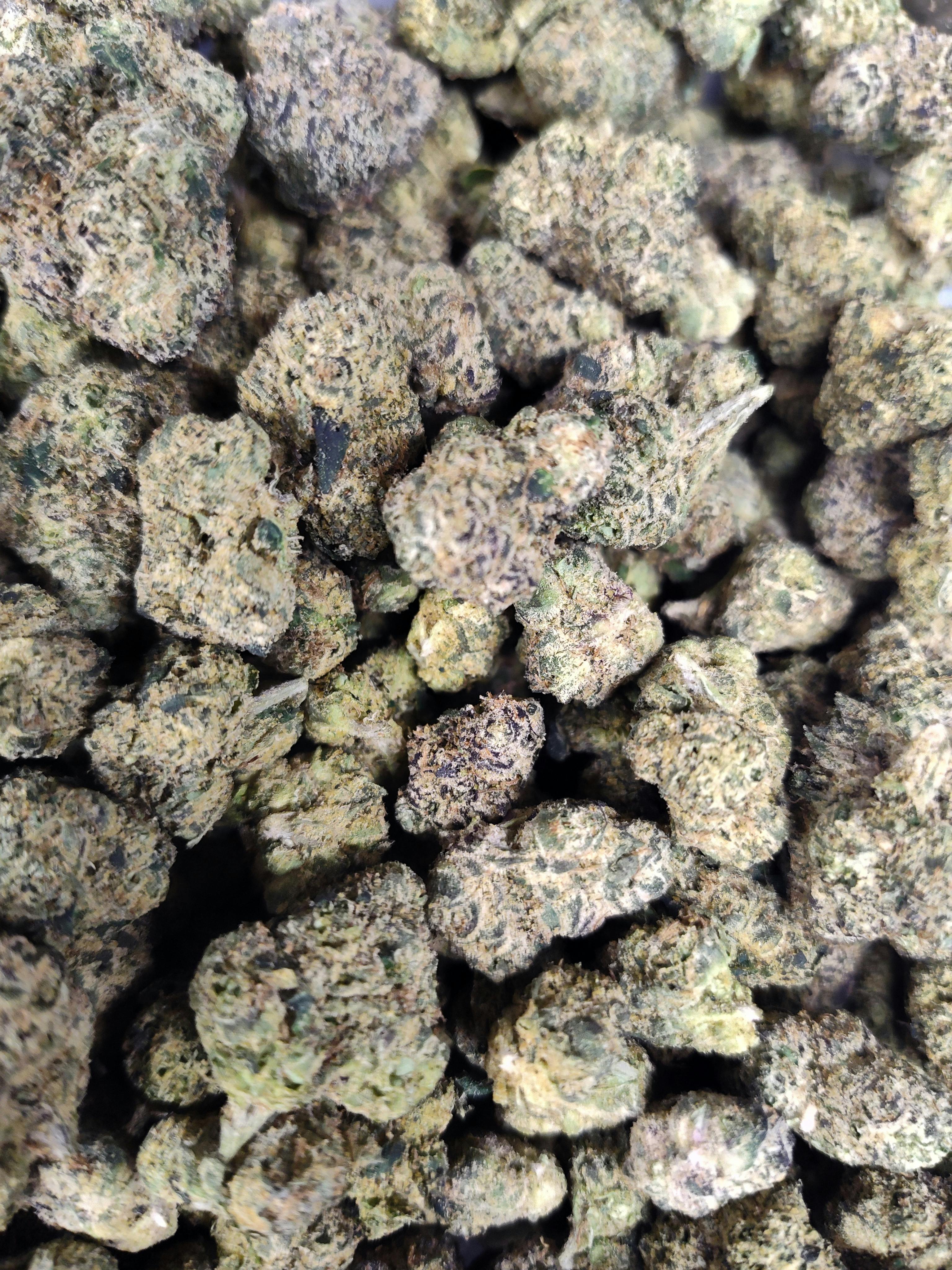 Peninsula Gardens - Platinum Beltz - Bulk Flower