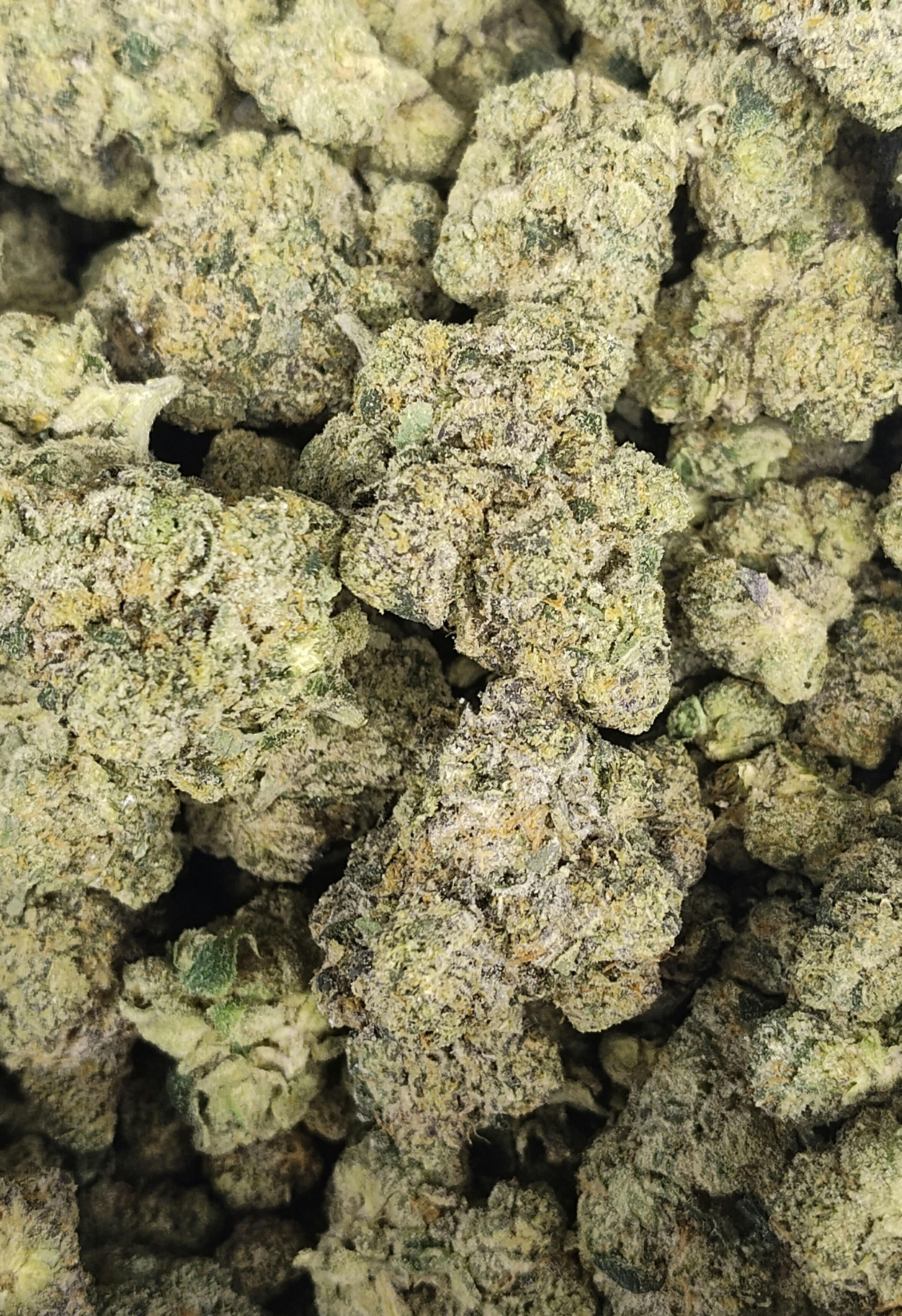 Super Gremlin - Bulk Flower