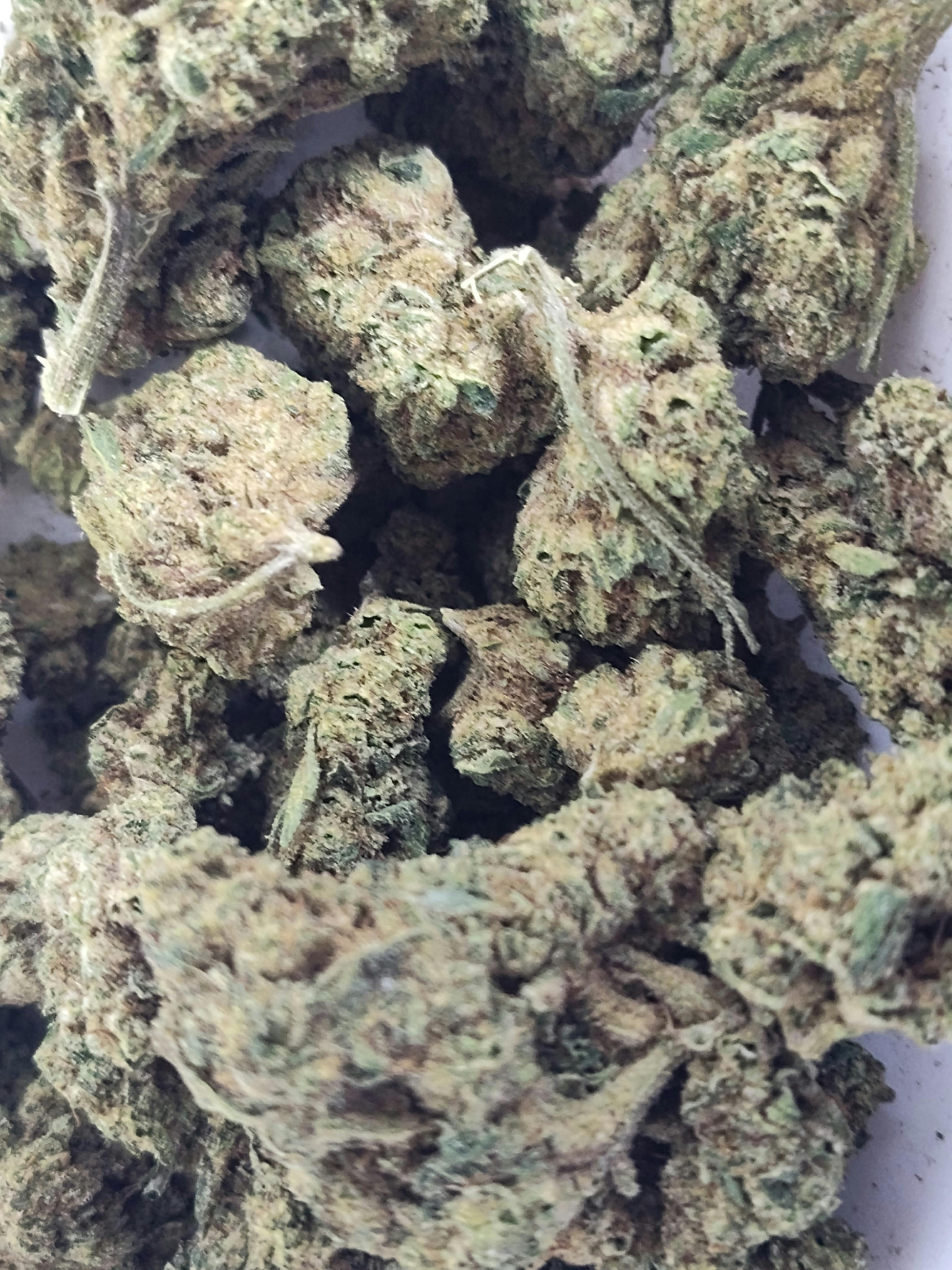 Goodlyfe Smalls - 28G Prepack - Fortune Cookie