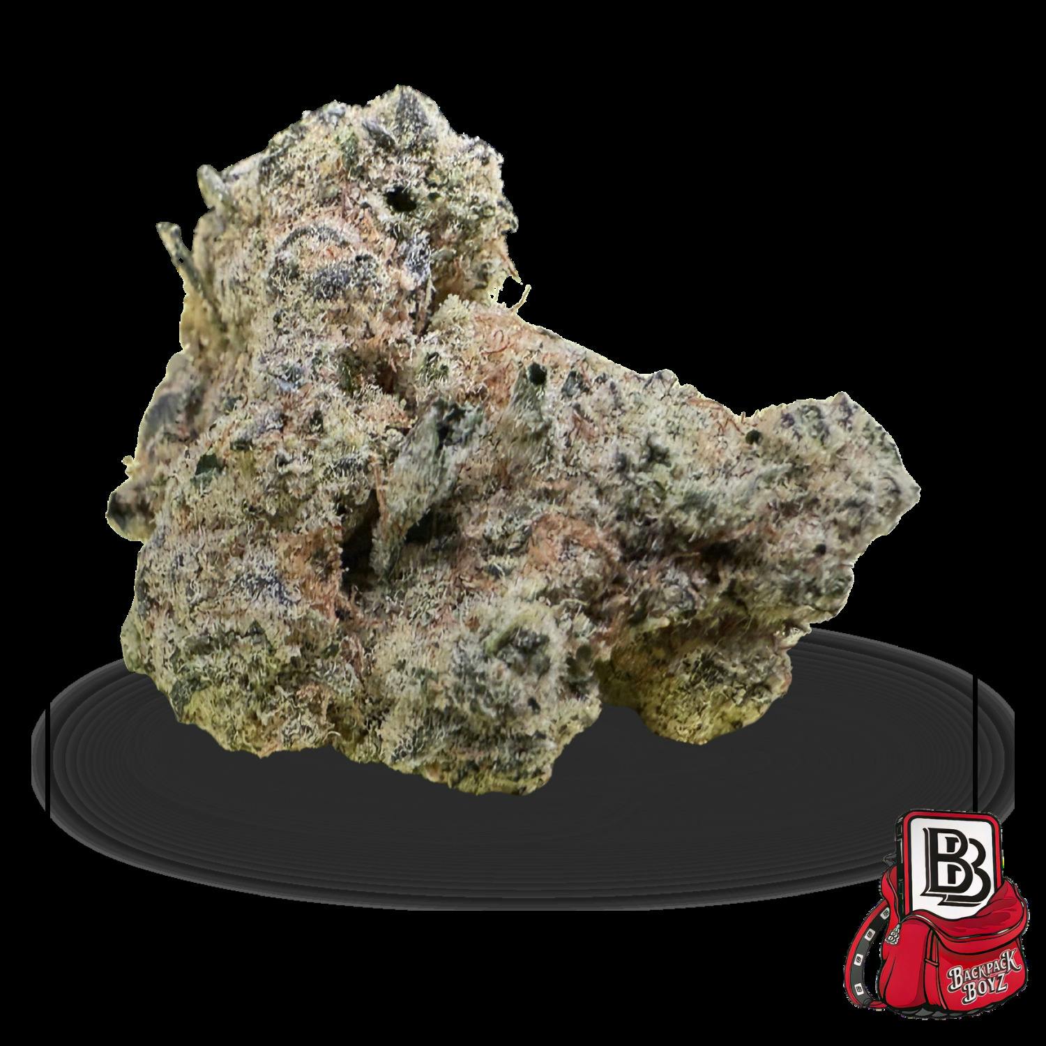 Lemon Cherry Gelato x Z Animal #9 - Bulk Flower