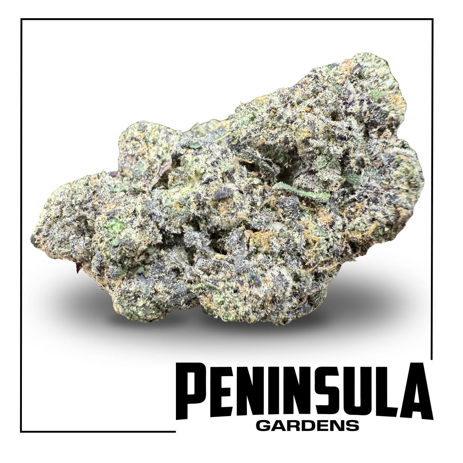 Peninsula Gardens - Party Popperz - Bulk Flower