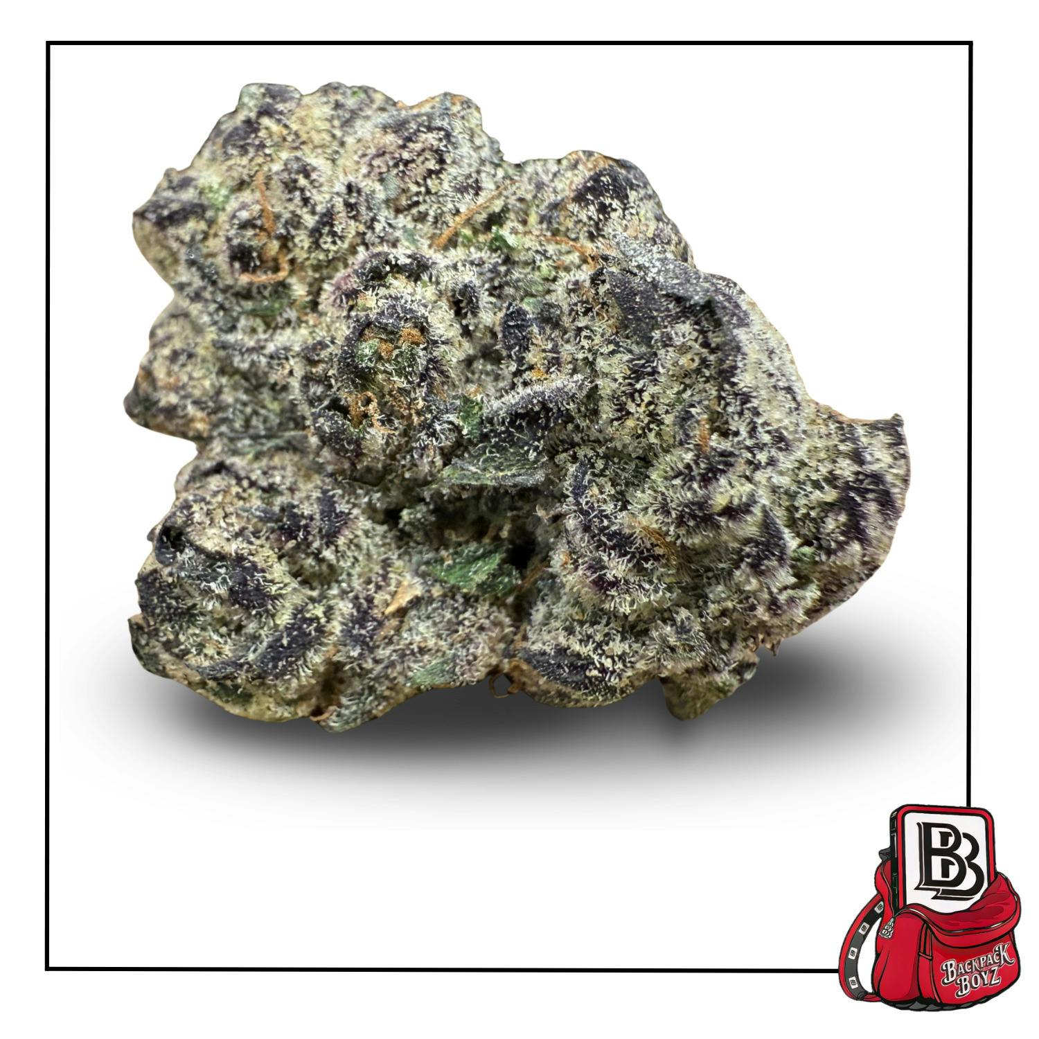 Sherb Pie - Bulk Flower