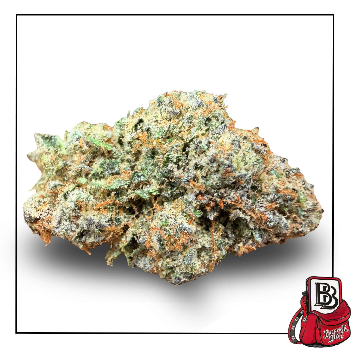 Bowtique - Pink Bubblegum - Bulk Flower