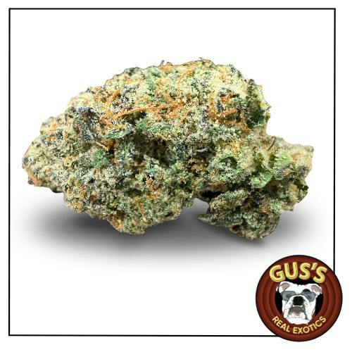 Gus's Exotics - Ether - Bulk Flower
