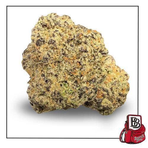 Lava Cake - Bulk Flower