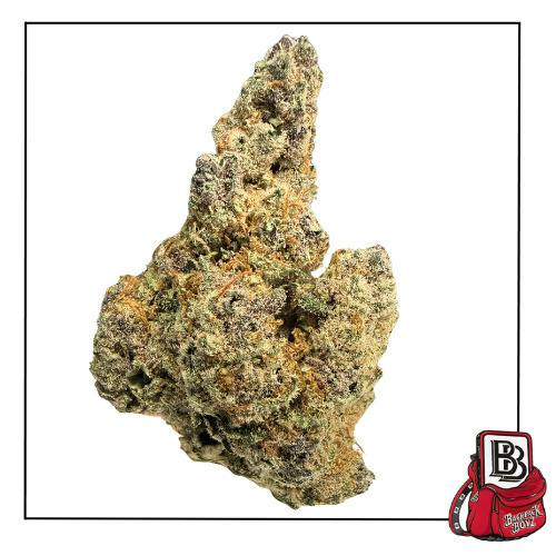 Aqua Verde - Bulk Flower