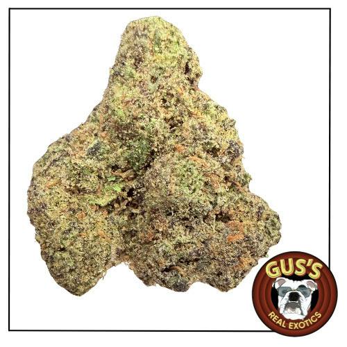 Gus's Exotics - Red 40 - Bulk Flower