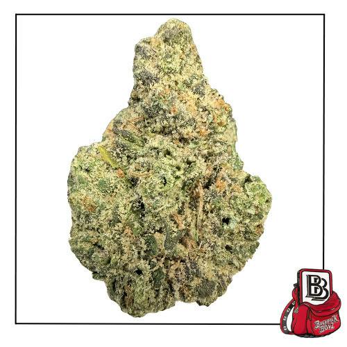 Zoda - Bulk Flower