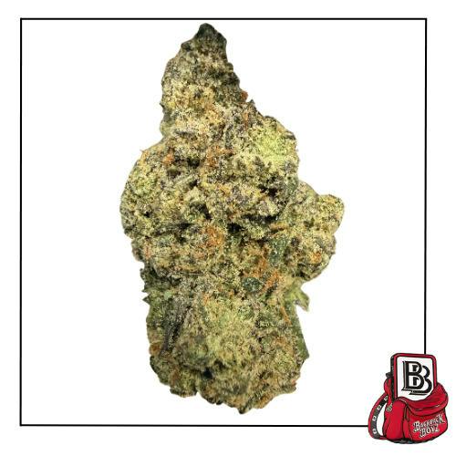 Honey Bomb - Bulk Flower