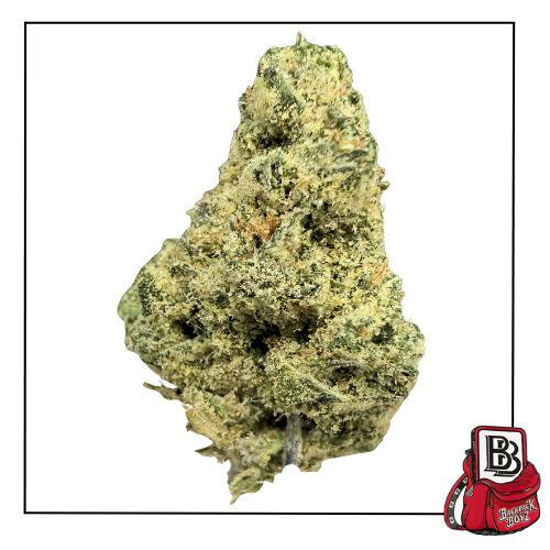 Gusher Runtz - Bulk Flower