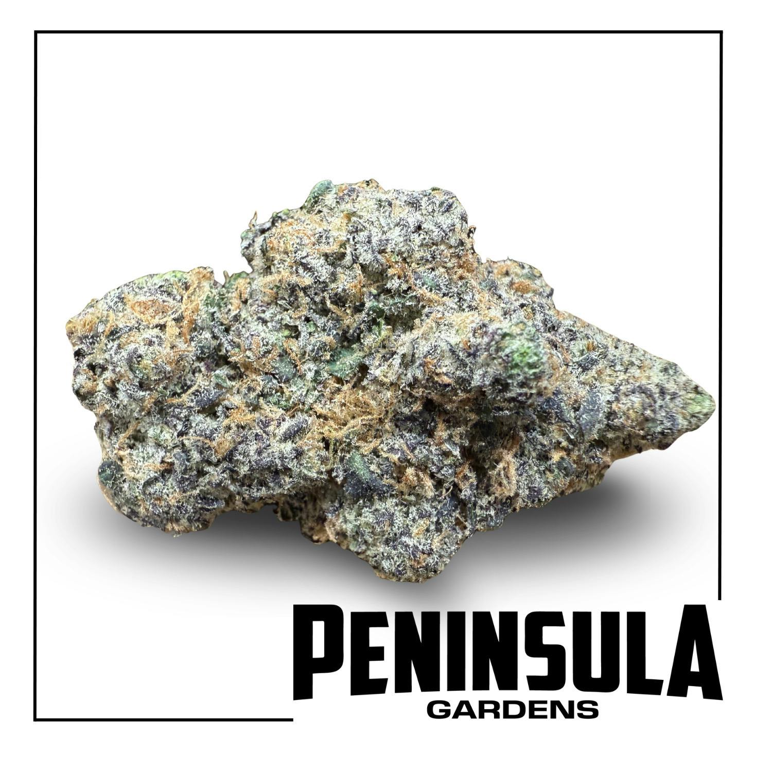 Peninsula Gardens - Starlink - Bulk Flower