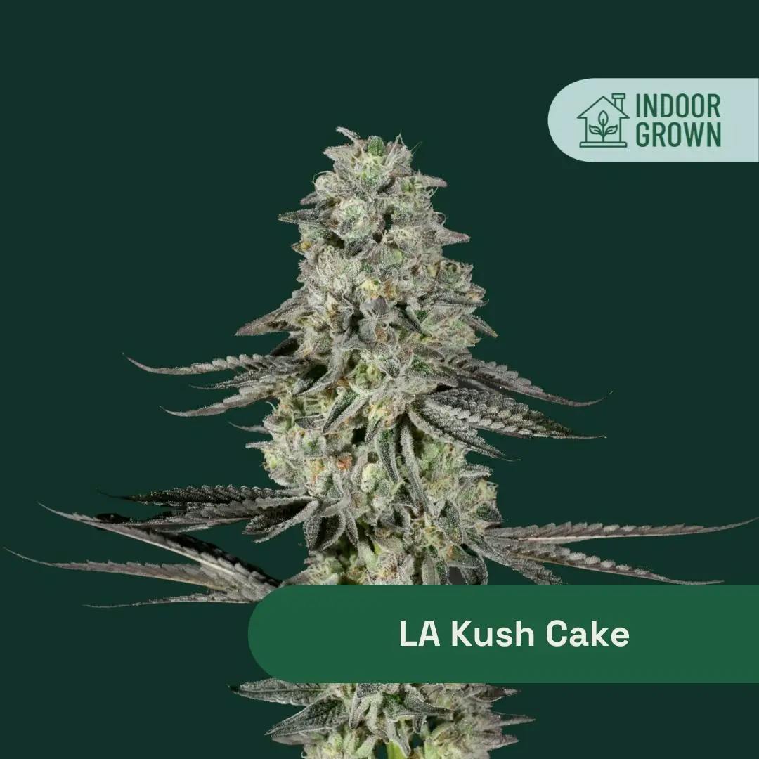 The Botanist | LA Kush Cake | 3.5g