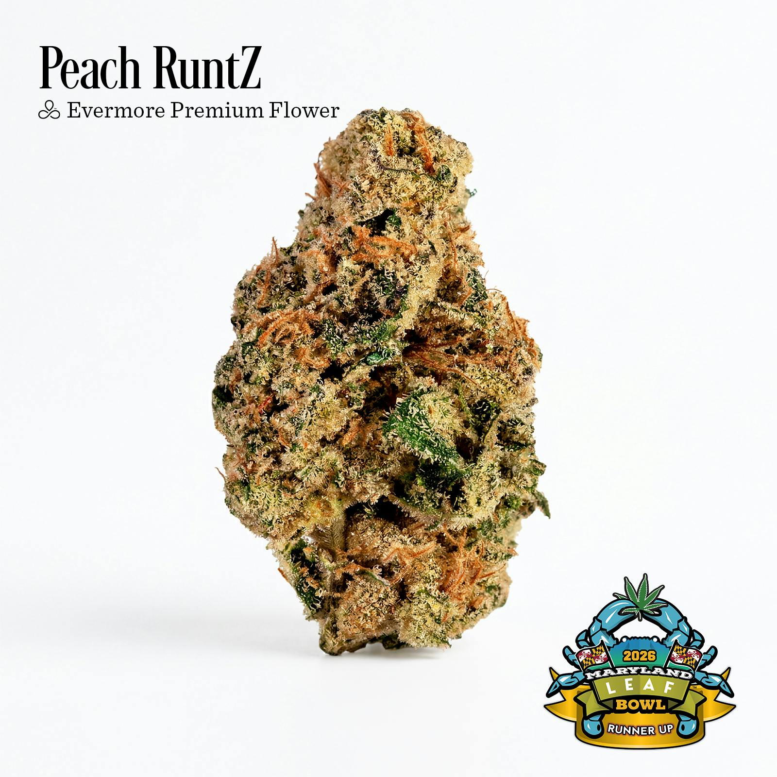 Evermore Peach RuntZ