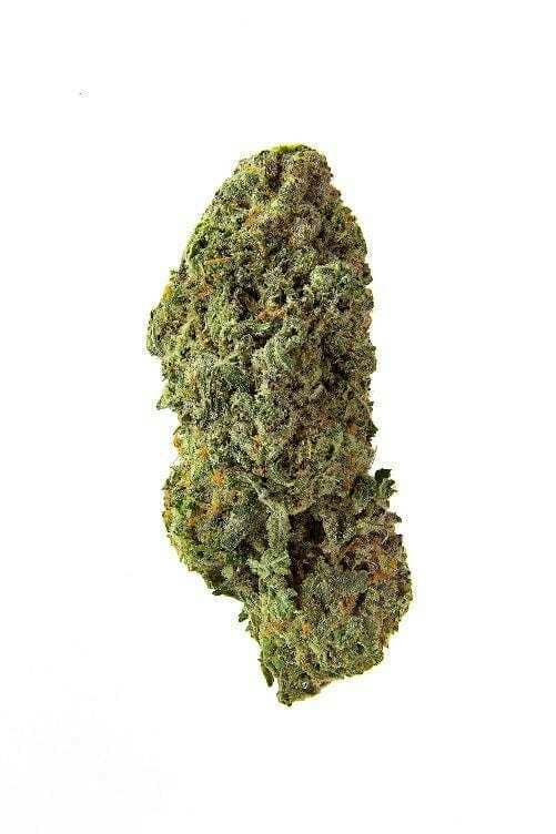 BANDWAGON SATIVA RTNL FLOWER - 7