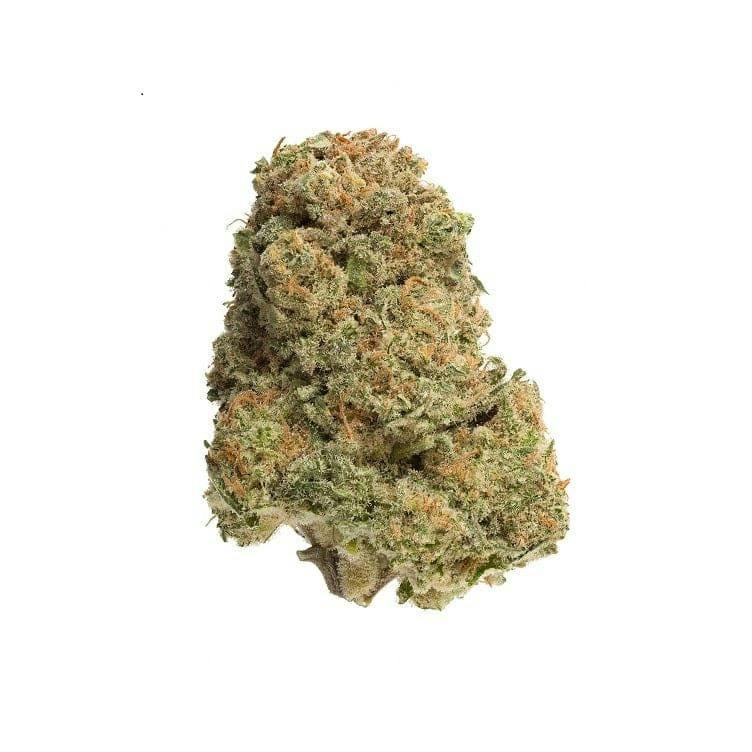 BANDWAGON INDICA RTNL FLOWER - 7