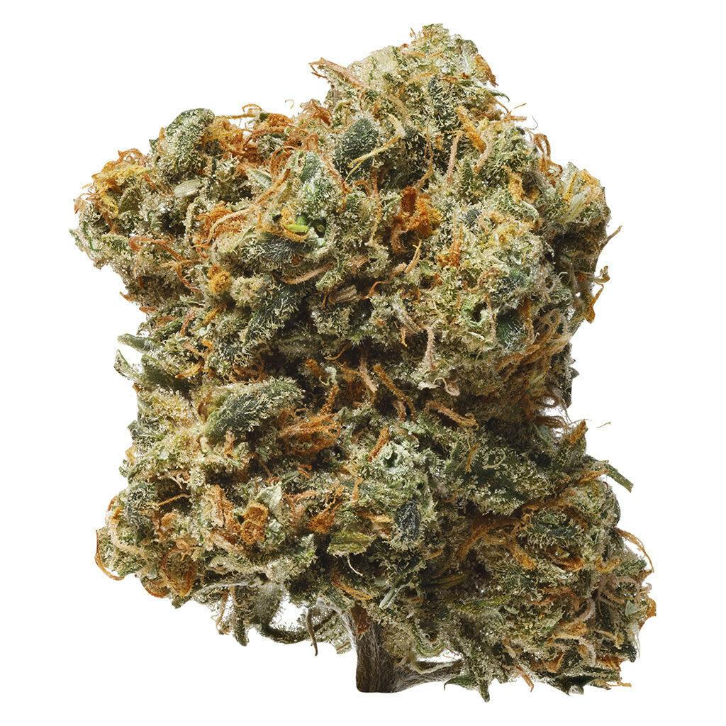 BLUE DREAM - 3.5